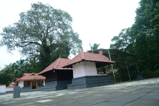 pilikode_sree_vengakott_bhagavathy_temple2
